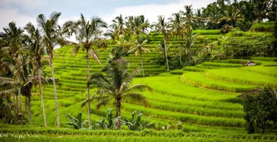 itinerario para viajar a Indonesia en 30 días