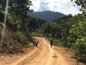 paseo rural laos
